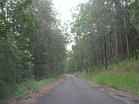 NSW - Cooperabung - Old Pacific Highway south end (23 Feb 2010)